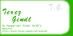 terez gindl business card